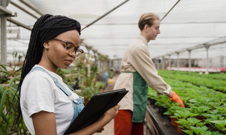 delta-agrifood-business-website